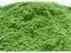 Green oat juice powder