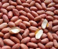 Traditional peanut kernel