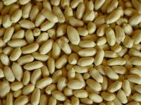 Blanched Peanut