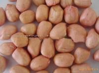 Beaded peanut kernel