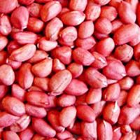 Red Skin Peanuts