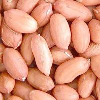Peanut / groundnut kernel
