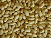 Blanched Peanut kernels