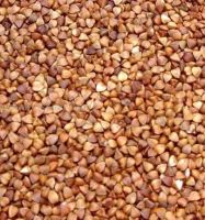 Roasted buckwheat