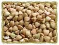 Buckwheat kernel