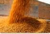 18% DCP(Dicalcium Phosphate)Animal Feed