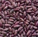 Purple Speckled Kidney Beans