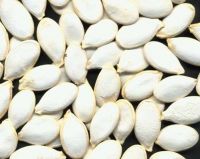 Snow pumpkin seeds