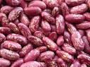 Red Speckled Kidney Beans (New Crop)