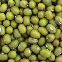 Green Mung Bean yellow mung bean organic green mung bean dried mung bean small green bean fresh green mung bean crop green mung