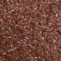 Linseed oil seed