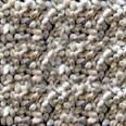 Australian cotton seeds