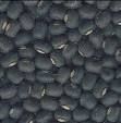 Black Moong Bean