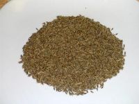 Cumin (Jeera)