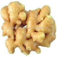 Adrak (Ginger)