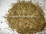 Fenugreek (Methi)