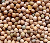 whole yellow peas Yellow peas whole / yellow peas / yellow whole hulled peas / whole yellow peas / yellow whole hulled peas