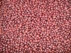 Adzuki Beans