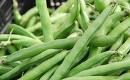 Faba Beans