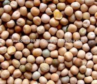 whole yellow peas Yellow peas whole / yellow peas / yellow whole hulled peas / whole yellow peas / yellow whole hulled peas