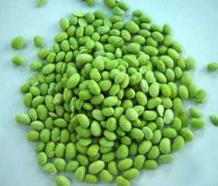 green board beans