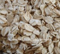 QATS - QUICK COOKING OAT