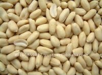 PEANUT BEADED PEANUT KERNEL