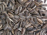 Sunflower seeds