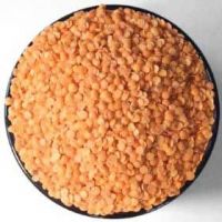 Red lentil