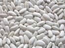 Bean Long Shape