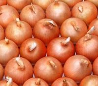 Red onion