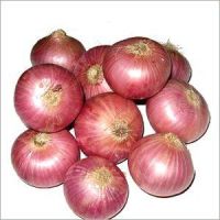 Fresh Red Onion