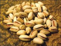 AKBARI LONG PISTACHIO