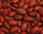 Small Red Bean