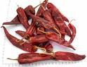 Australian Spice of Dried Red Chilli