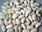 White Kedney beans