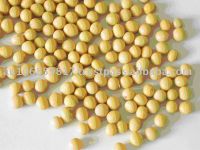 organic Soy bean