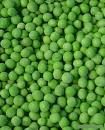 IQF Green Peas