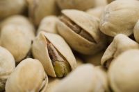 Organic and Conventional Turkish Pistachios