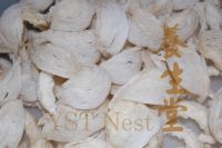 Premium Quality Edible Bird's Nest / Bird Nest