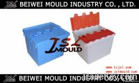 custom plastic big box mould