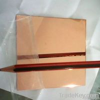 Stainless Steel Colored Sheet/Plate
