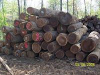 North American Hardwood Logs