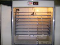 egg incubator