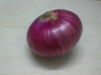 ONION DEALERS, ONION WHOLESEALERS, ONION EXPORTERS