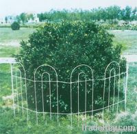 flower frame