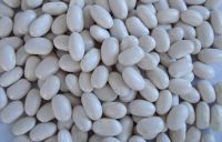 white Kidney Beans