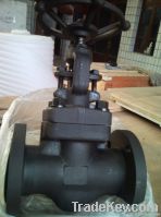 Forged Gate Valve - Flanged