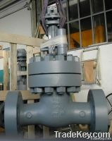 Rising Stem Gate Valve