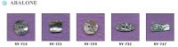 abalone buttons